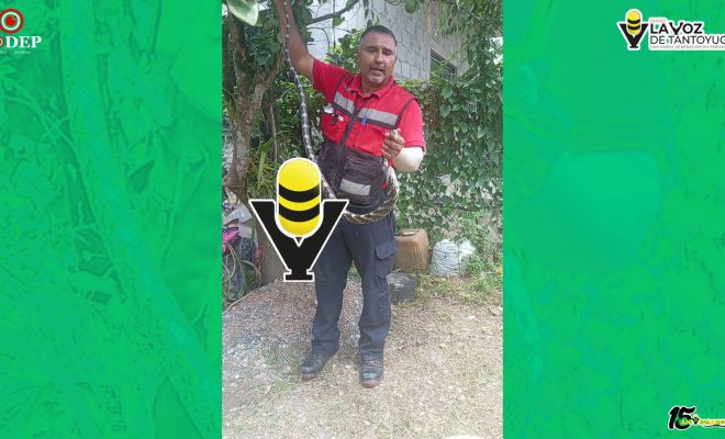 Bomberos capturan culebra en una vivienda