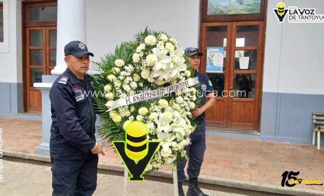 photo_5062158638616611811_y