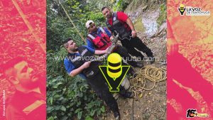 Localizan cocodrilo en Huejutla 
