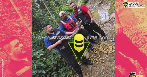 Localizan cocodrilo en Huejutla