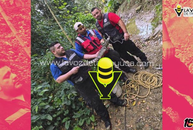 Localizan cocodrilo en Huejutla