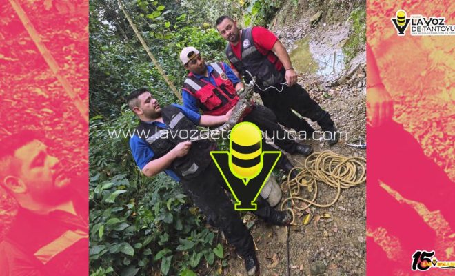 Localizan cocodrilo en Huejutla