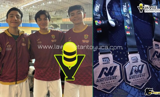 photo_5062579030015544201_y