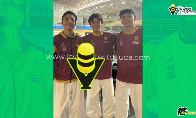 photo_5062579030015544202_y