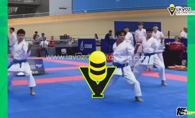 photo_5062579030015544203_y