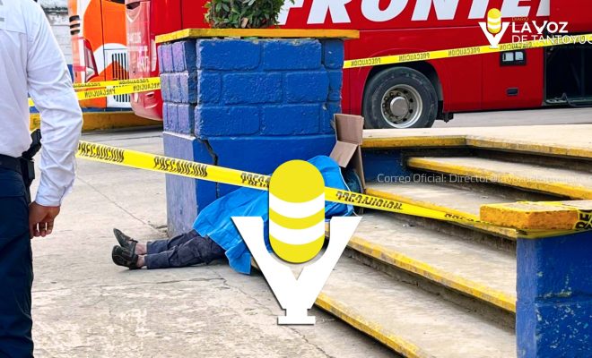 photo_5064353177926306614_w