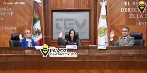 TEV resuelve 76 medios de impugnación; confirma resultados en 25 municipios y revoca triunfos en 4