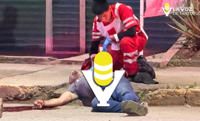 photo_5067108412331592568_w photo_5067108412331592568_w