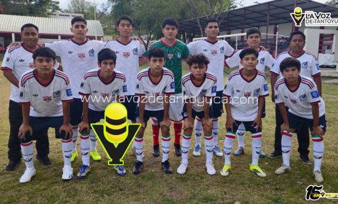 photo_5069279178997304521_y