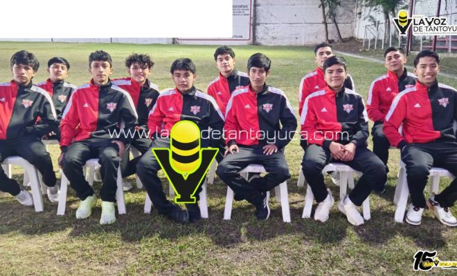 photo_5069279178997304522_y