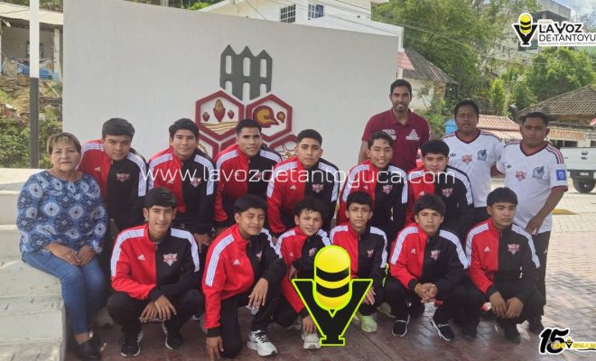 photo_5069279178997304530_y