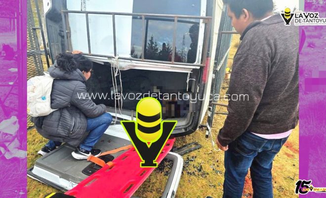 photo_5069279178997304549_y