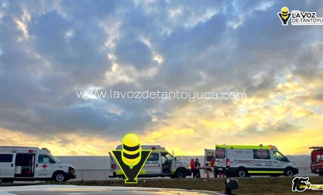 photo_5069279178997304550_y