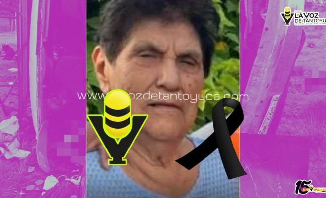 photo_5069279178997304552_y