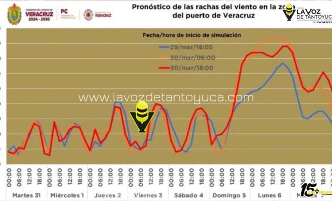 photo_5071333530574457952_y