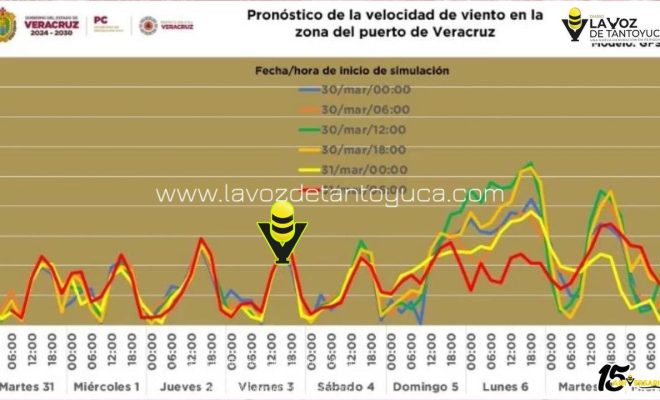 photo_5071333530574457953_y