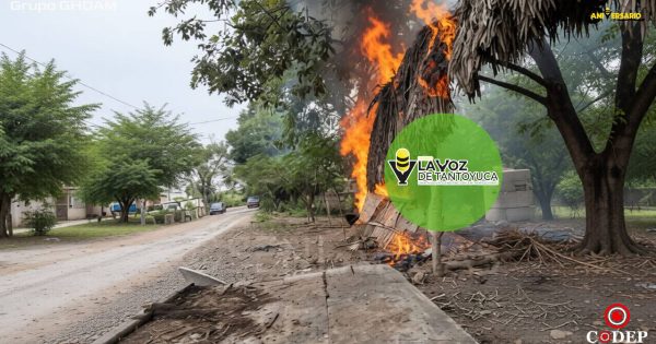 Incendian techo de palma de un negocio en El Hoxton, El Higo