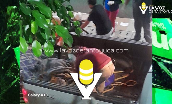 photo_5075663115306863525_w