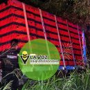 Camión avícola aparece baleado y abandonado en la carretera Tuxpan - Tampico