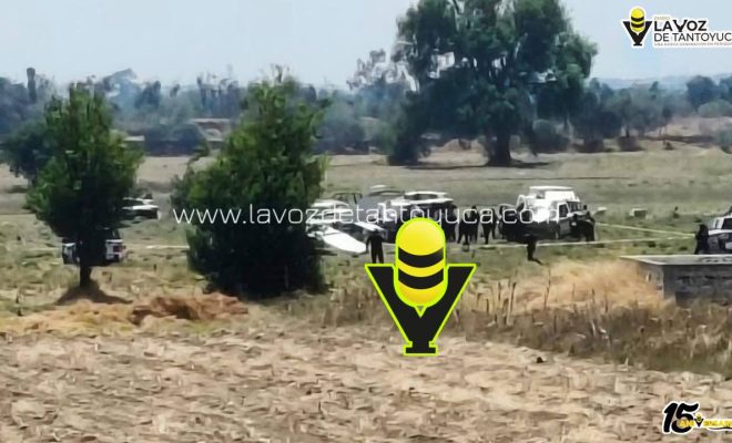 photo_5077985601692306376_y (1)