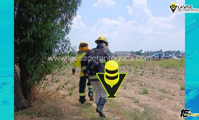 photo_5080214822862916694_y (1)