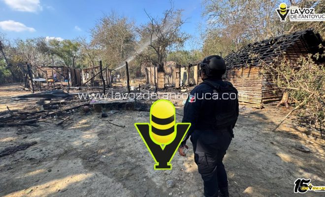 photo_5080214822862916702_y