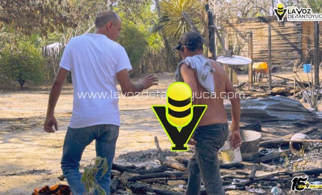 photo_5080214822862916705_y