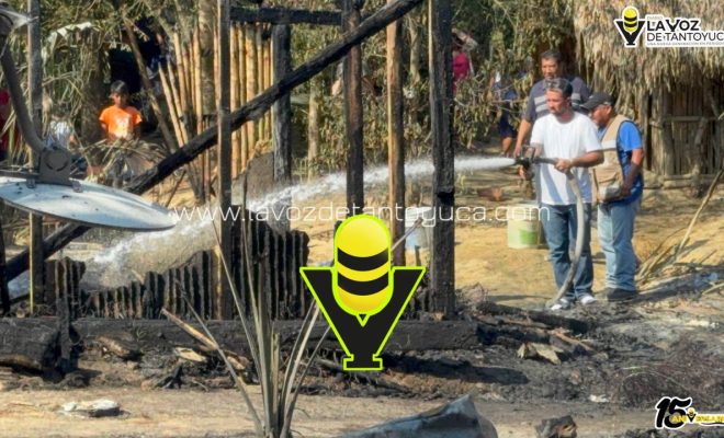 photo_5080214822862916707_y