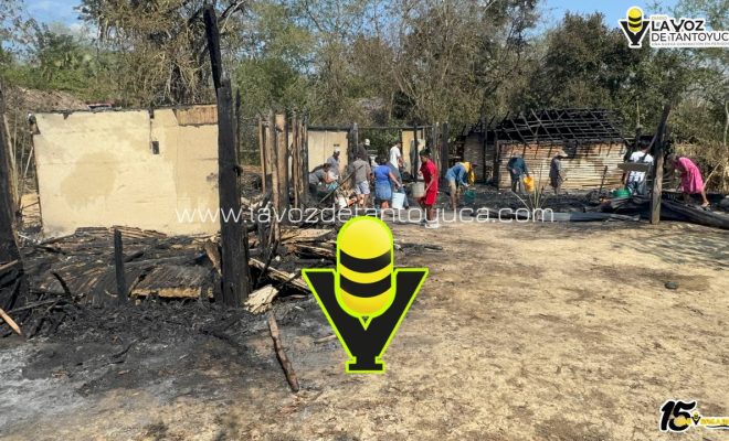 photo_5080214822862916708_y