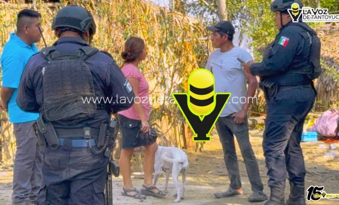 photo_5080214822862916709_y