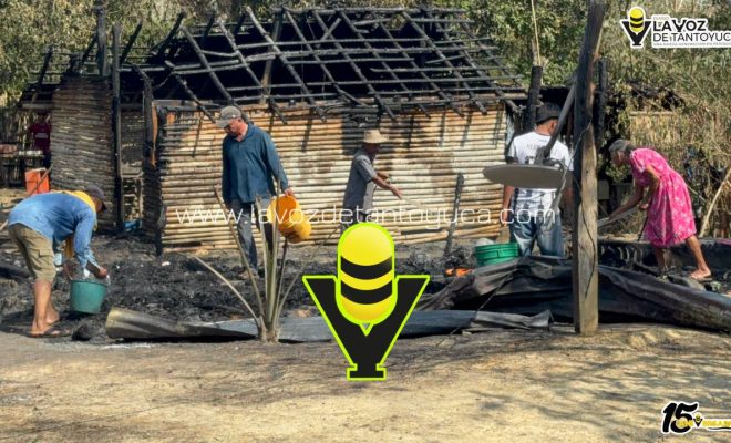 photo_5080214822862916711_y