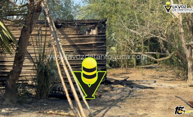 photo_5080214822862916712_y