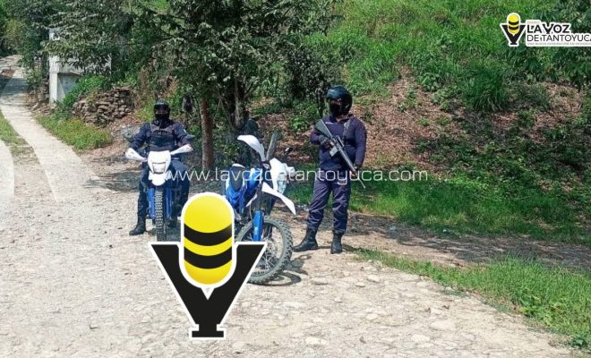 photo_5085019199050025870_y