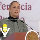 Sheinbaum exige a Fiscalía de Veracruz justificar acusación de terrorismo contra el reportero Lafita León
