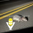 Localizan sin vida a extraño animal en Papantla