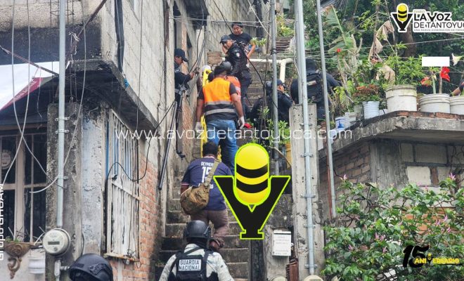 photo_5087095794262805577_y