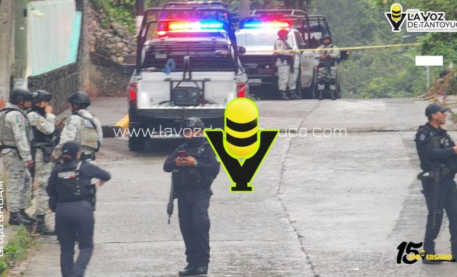 photo_5087095794262805578_y