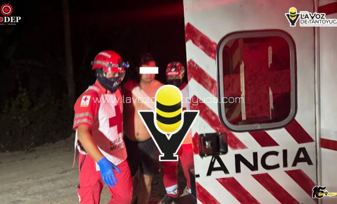 photo_5087270998863711214_y