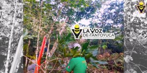 Localizan sin vida a menor en un cafetal 