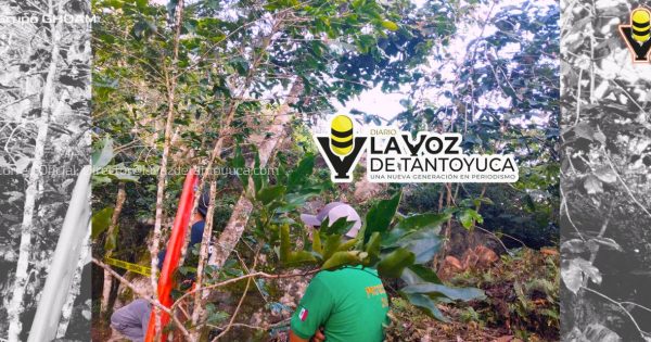 Localizan sin vida a menor en un cafetal