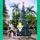 Ayuntamiento de Tempoal embellece el centro con adornos navideños