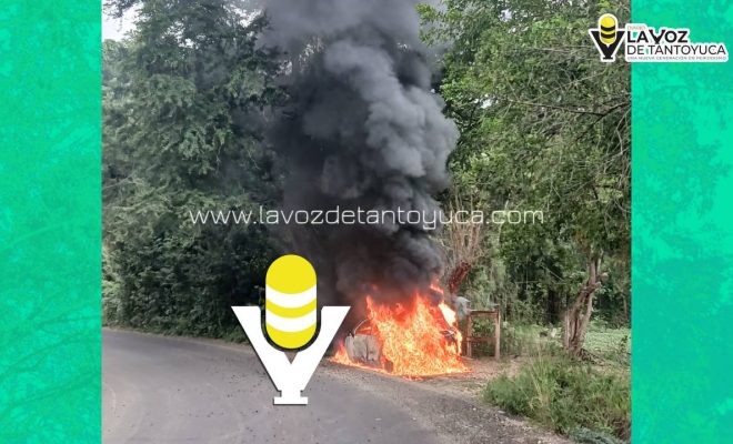 photo_5089294564115286917_y