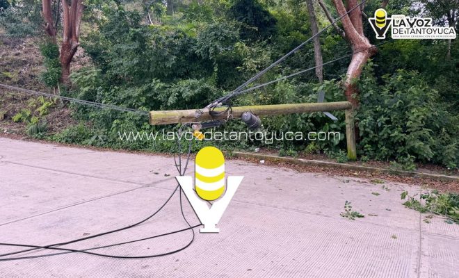 photo_5091546363928972238_y