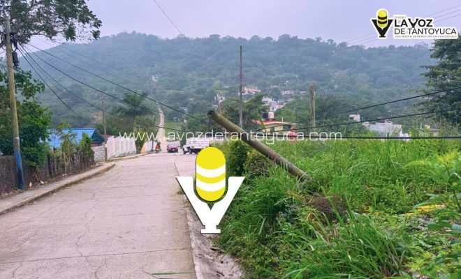 photo_5091546363928972239_y