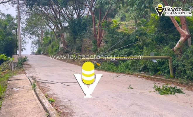 photo_5091546363928972240_y