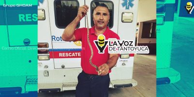 Bomberos capturan víbora venenosa en un domicilio