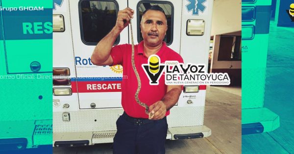 Bomberos capturan víbora venenosa en un domicilio