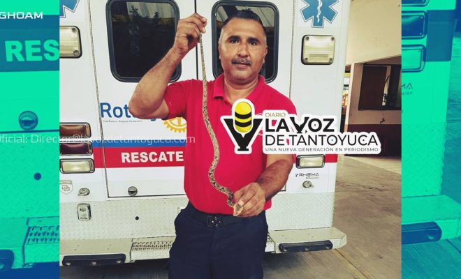 Bomberos capturan víbora venenosa en un domicilio