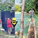 Encarcelan y multan a sujeto por meme en una comunidad de Chiapas