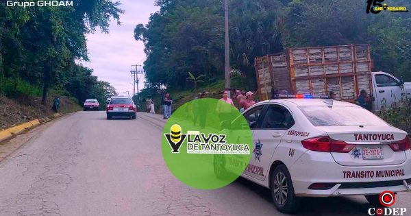 Coordinan Tránsito y Obras Públicas labores de limpieza en la carretera Tantoyuca - Platón Sánchez